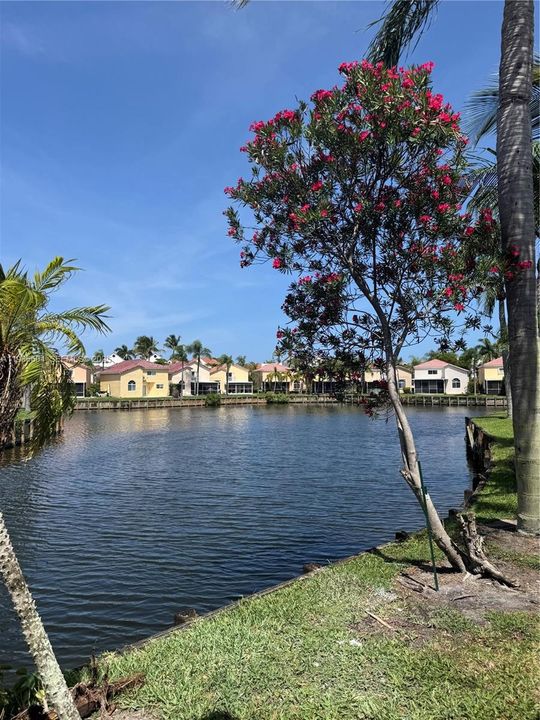 For Sale: $619,000 (3 beds, 2 baths, 1238 Square Feet)