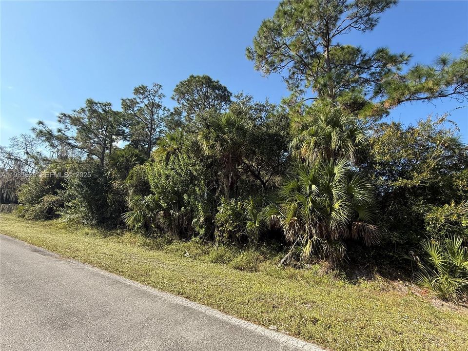 На продажу: $54,000 (1.25 acres)