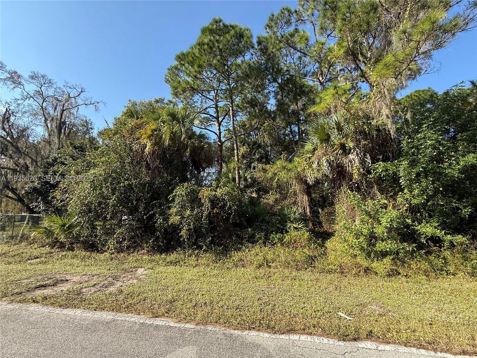 На продажу: $54,000 (1.25 acres)