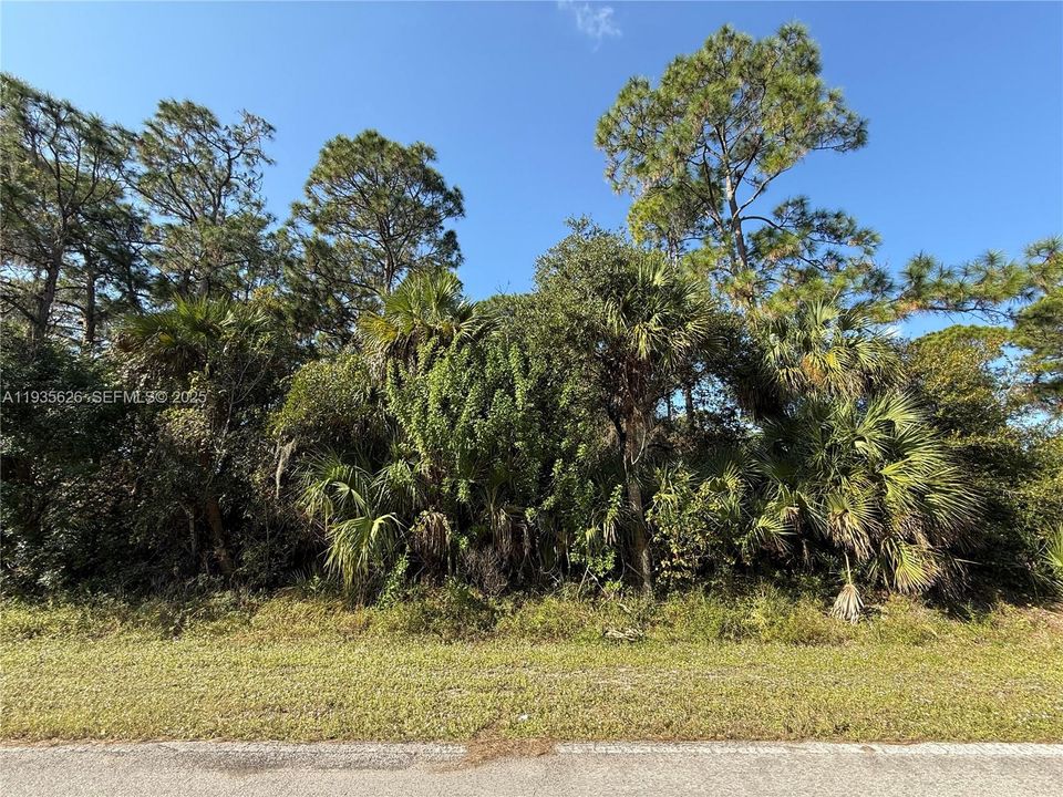 На продажу: $54,000 (1.25 acres)