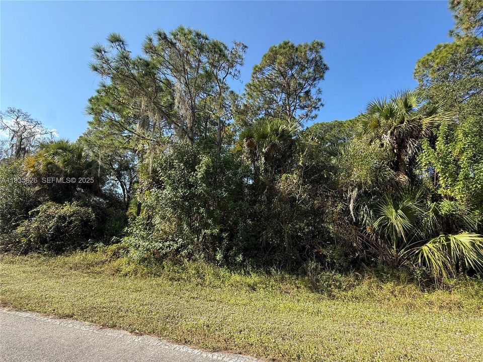 На продажу: $54,000 (1.25 acres)