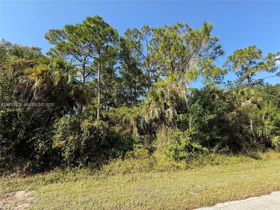 На продажу: $54,000 (1.25 acres)