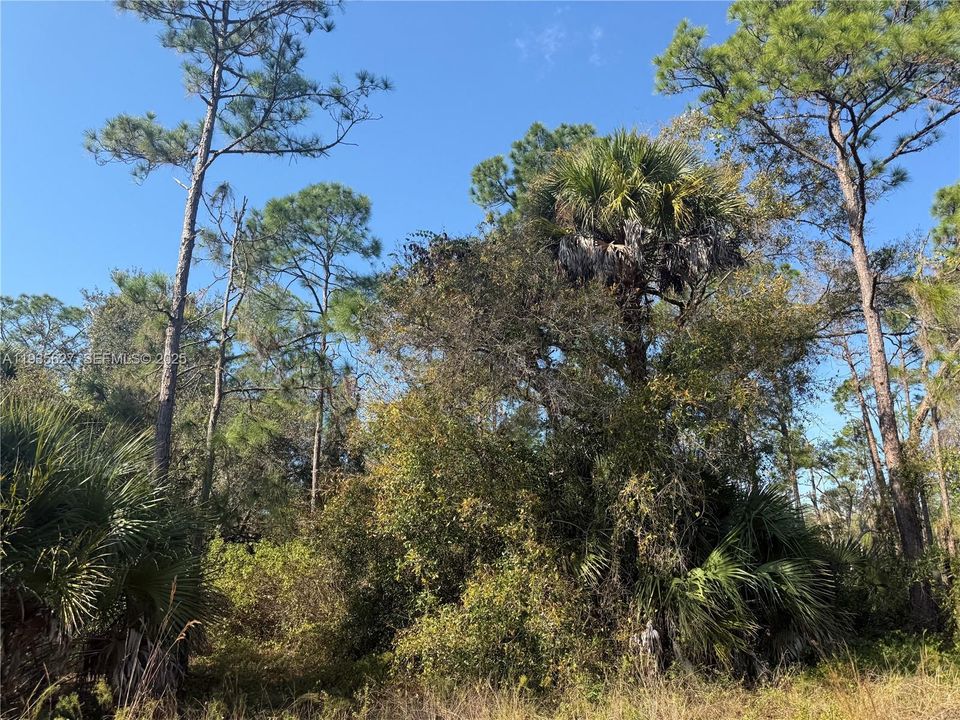 На продажу: $54,000 (1.25 acres)