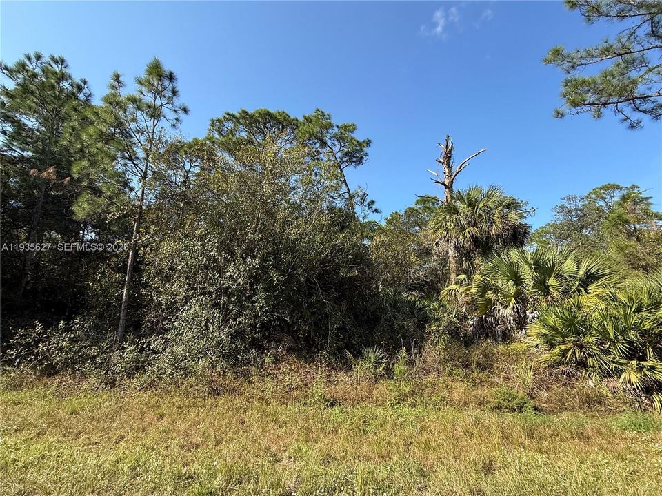 На продажу: $54,000 (1.25 acres)