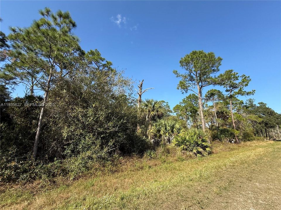 На продажу: $54,000 (1.25 acres)