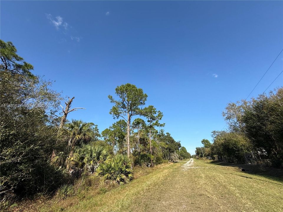 На продажу: $54,000 (1.25 acres)