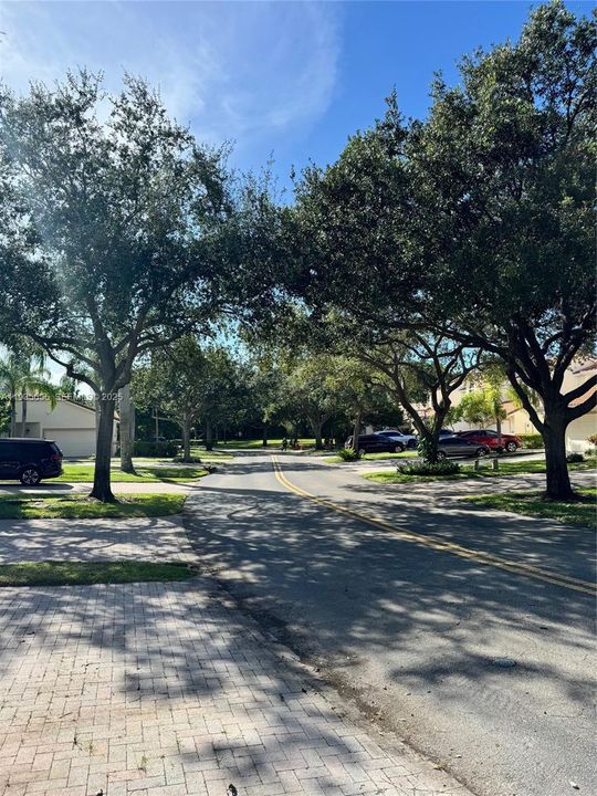 出租: $4,100 (3 贝兹, 3 浴室, 1961 平方英尺)