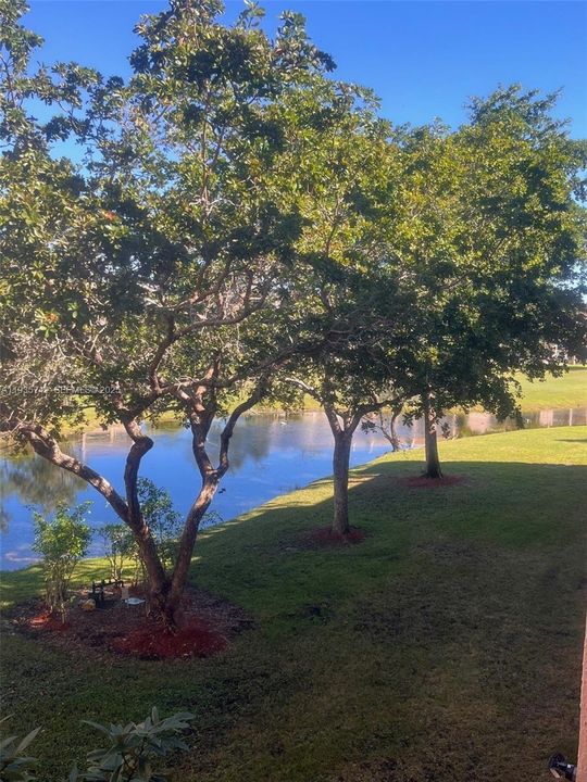 For Sale: $290,000 (2 beds, 2 baths, 1370 Square Feet)