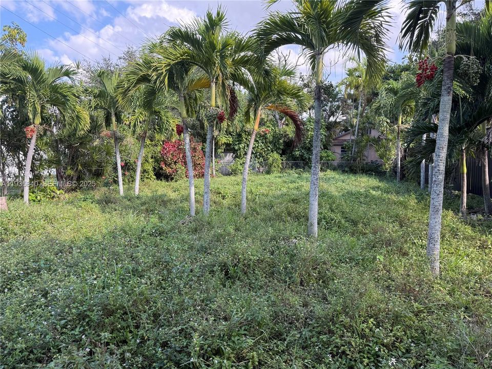 En Venta: $389,000 (0.17 acres)