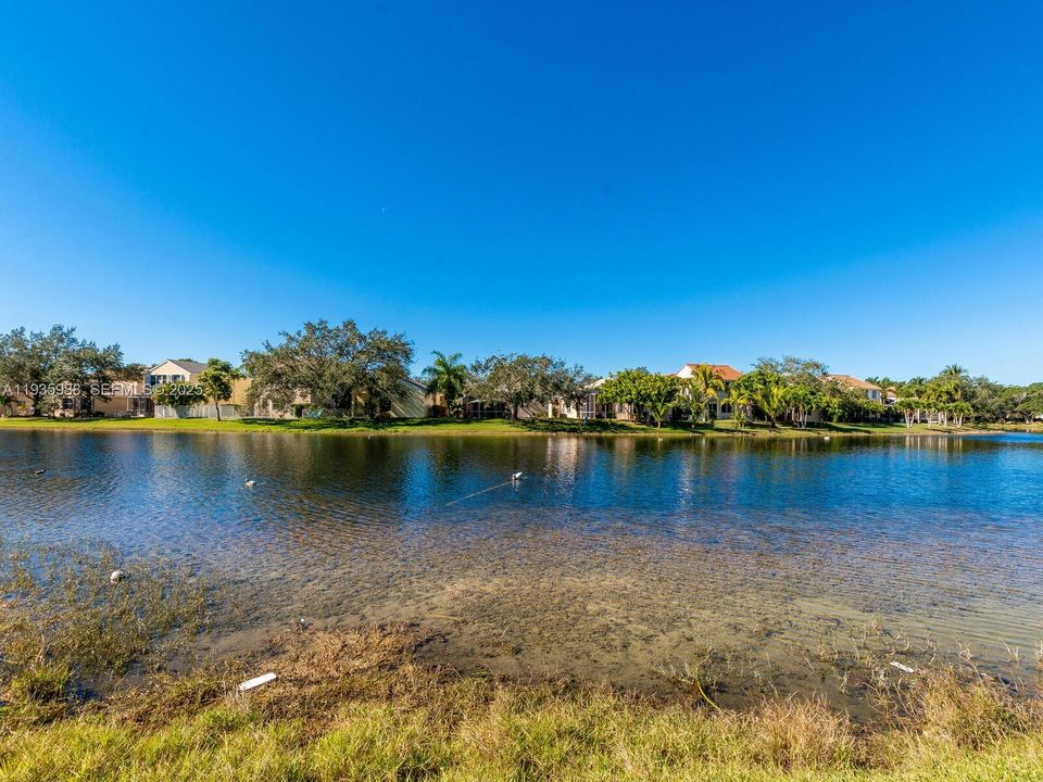 出租: $5,500 (4 贝兹, 2 浴室, 2322 平方英尺)