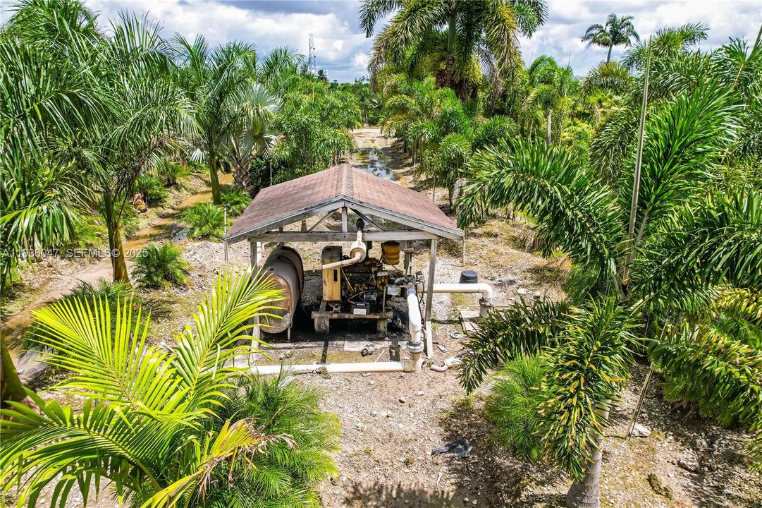 . FPL METERS 2 ON SITE .PLUS 2 DIESELS ON SITE. NOTICE GROUND IS ROCKLAND W RAISED BEDS FOR HOLDING ROOT BALLS...LOOKS LIKE FOXTAILS