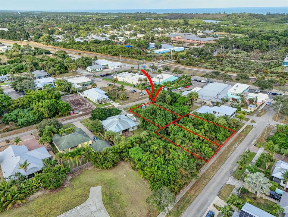 21-web-or-mls-Lot 487_-3