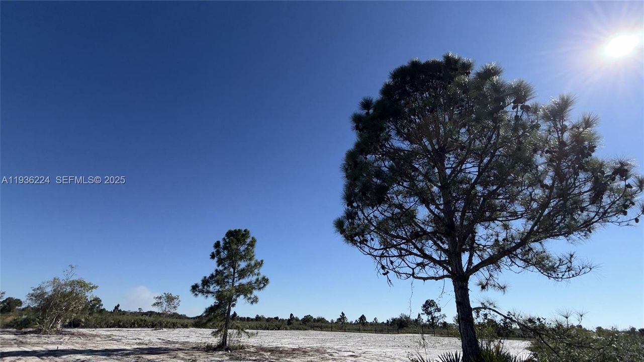 En Venta: $39,999 (1.25 acres)