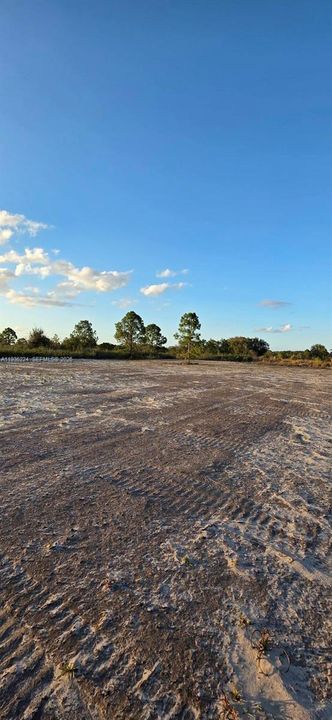 待售: $49,999 (1.25 acres)