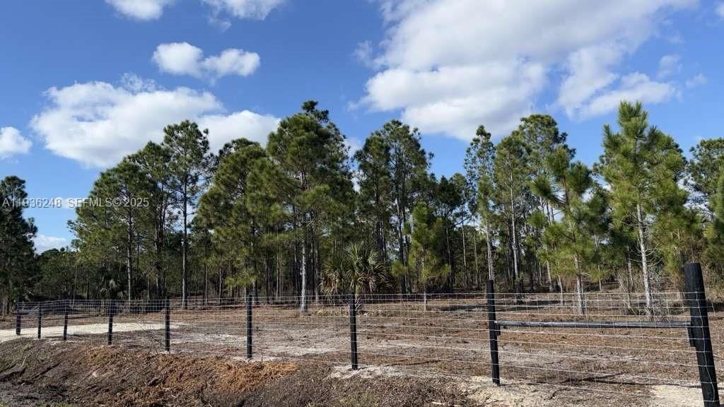 待售: $49,999 (1.25 acres)