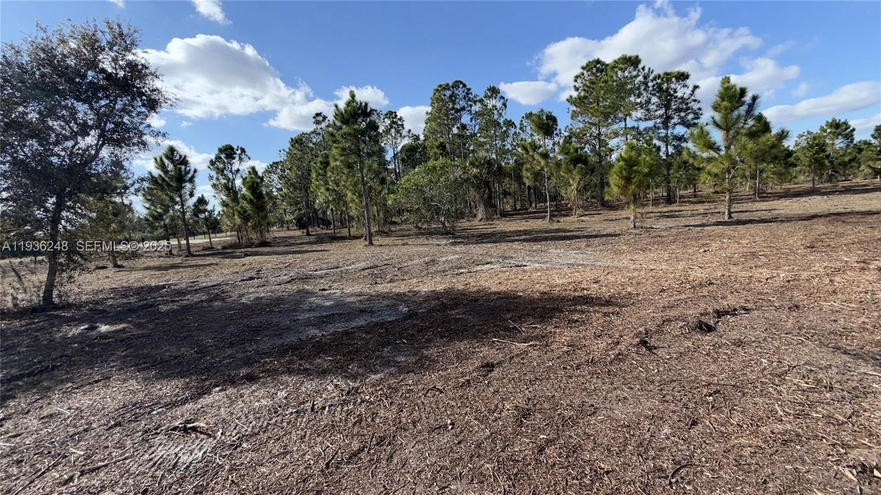 待售: $49,999 (1.25 acres)