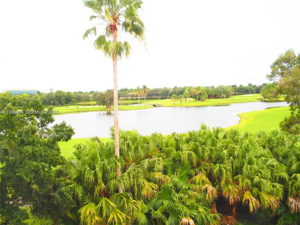 En Renta: $2,500 (2 camas, 2 baños, 1292 Pies cuadrados)