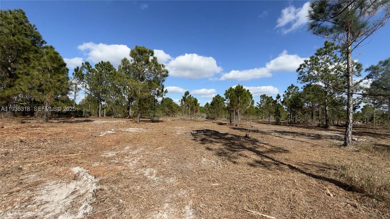 待售: $49,999 (1.25 acres)