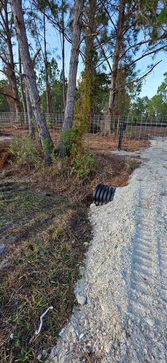 For Sale: $55,000 (1.25 acres)