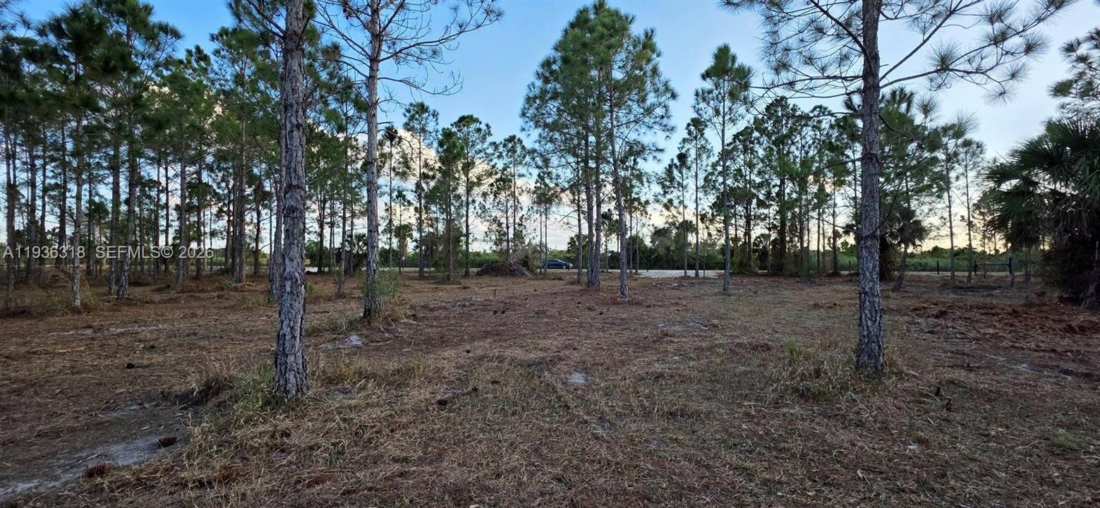 For Sale: $55,000 (1.25 acres)
