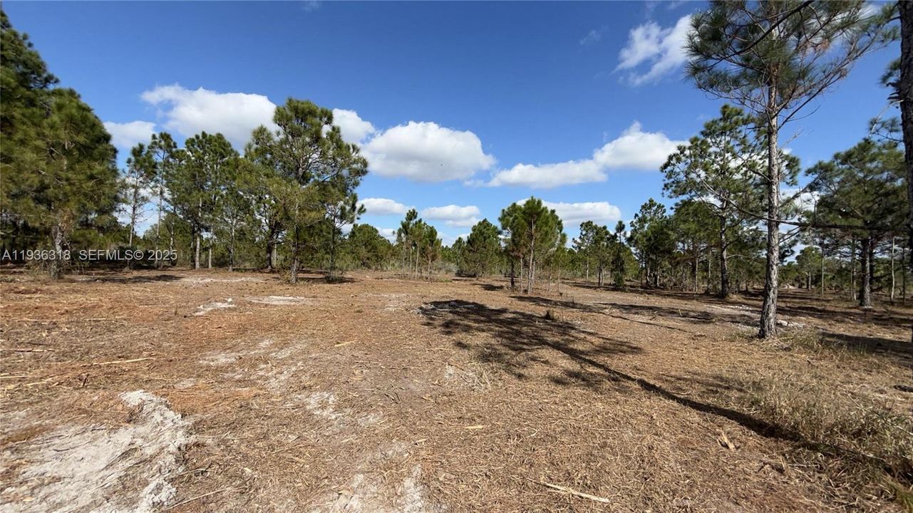 待售: $49,999 (1.25 acres)