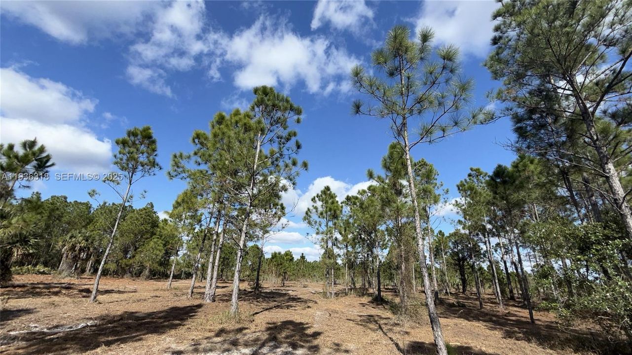 待售: $49,999 (1.25 acres)