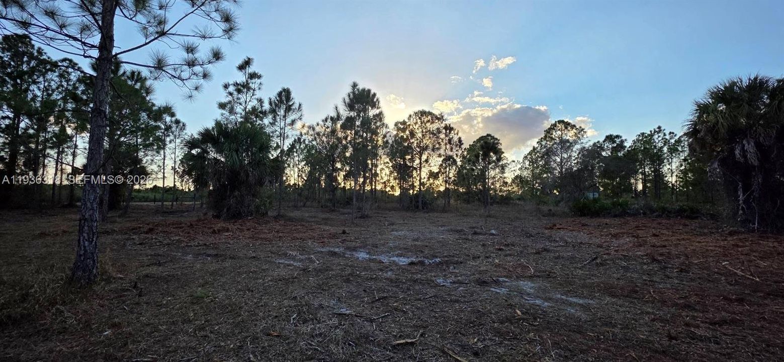 For Sale: $55,000 (1.25 acres)