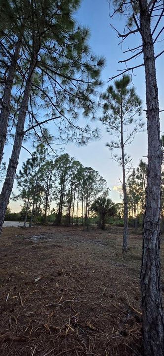 For Sale: $55,000 (1.25 acres)