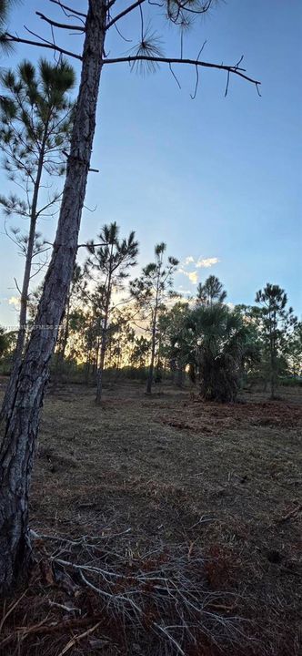 For Sale: $55,000 (1.25 acres)