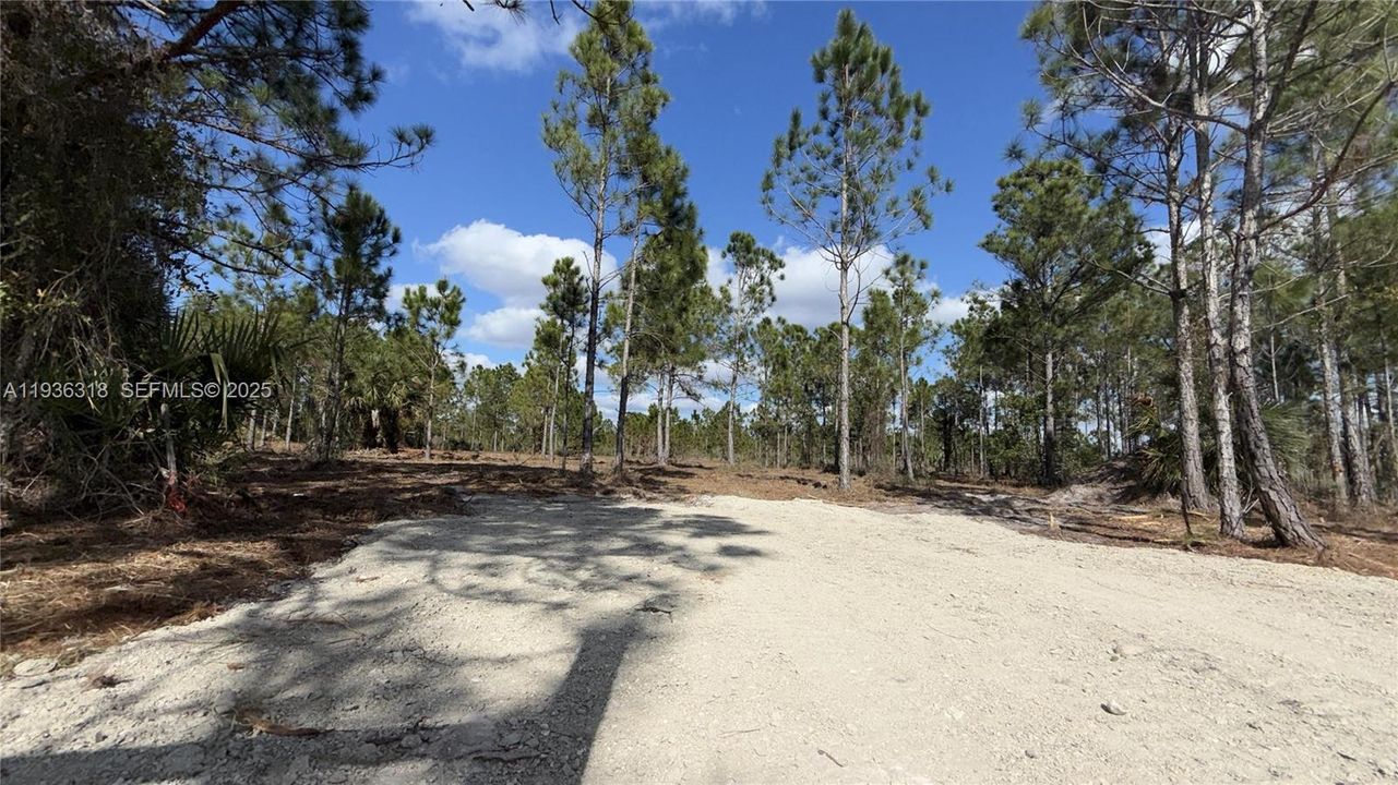 待售: $49,999 (1.25 acres)