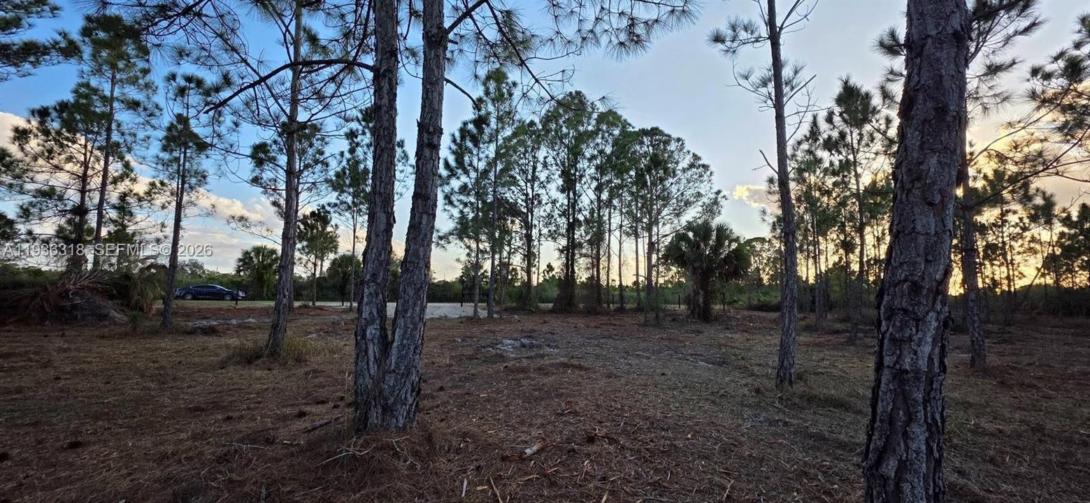 For Sale: $55,000 (1.25 acres)
