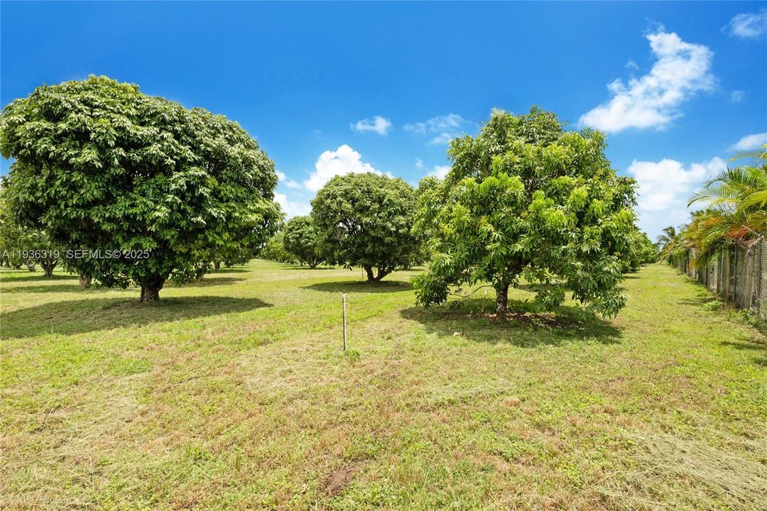 На продажу: $1,399,000 (0 спален, 0 ванн, 0 Квадратных фут)