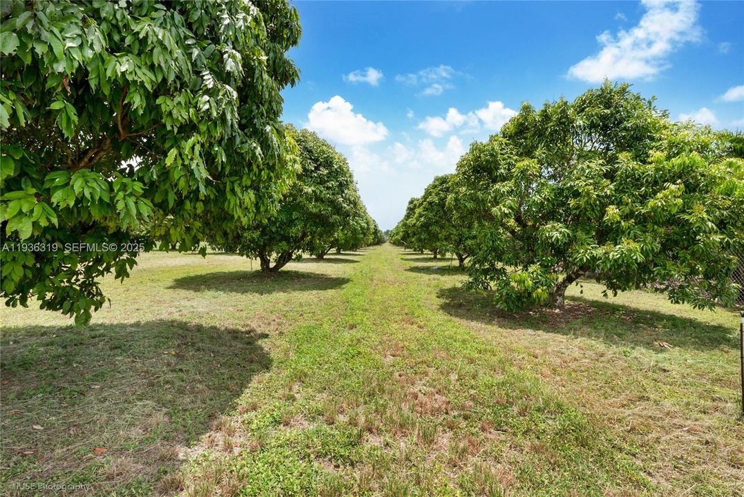 На продажу: $1,399,000 (0 спален, 0 ванн, 0 Квадратных фут)