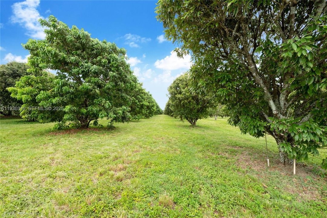 На продажу: $1,399,000 (0 спален, 0 ванн, 0 Квадратных фут)