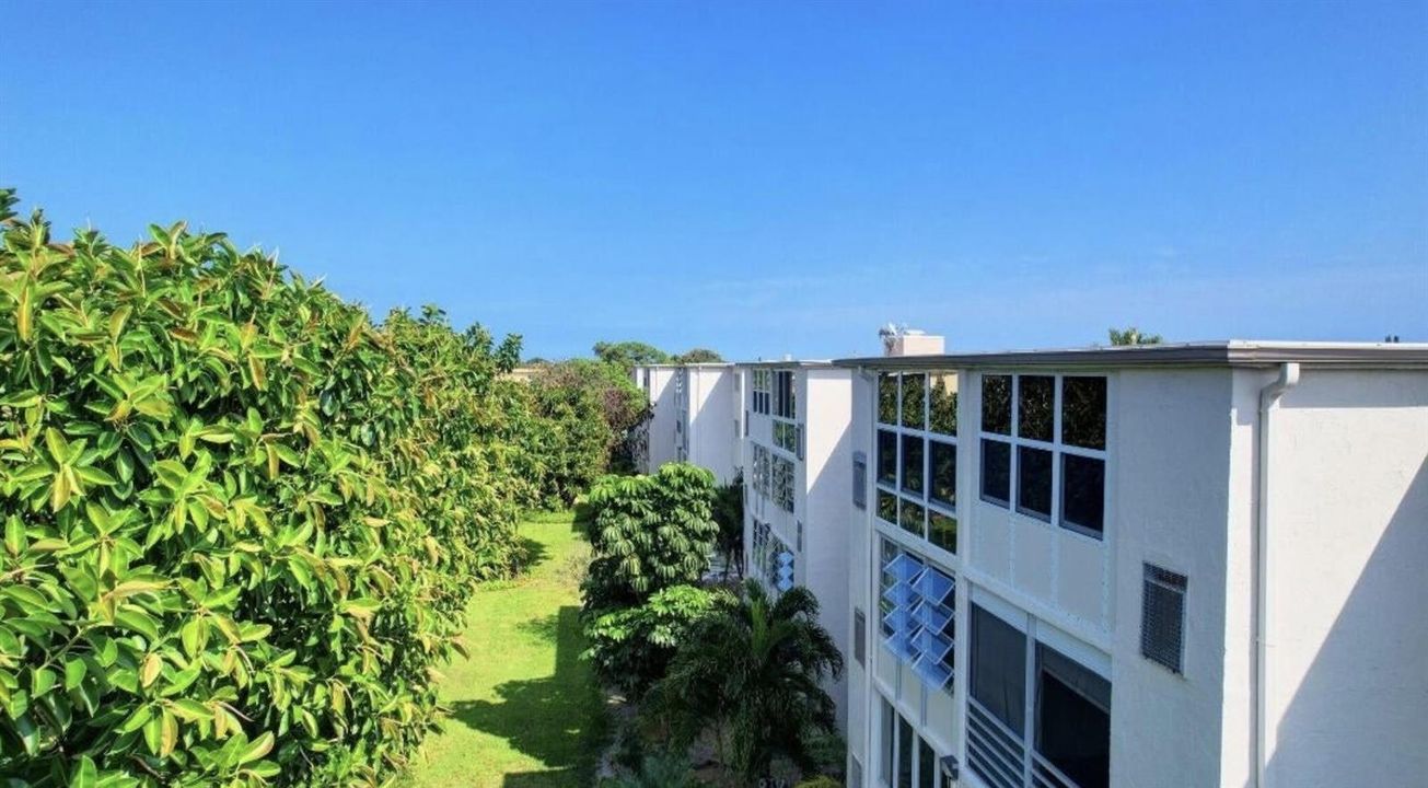 Garden view