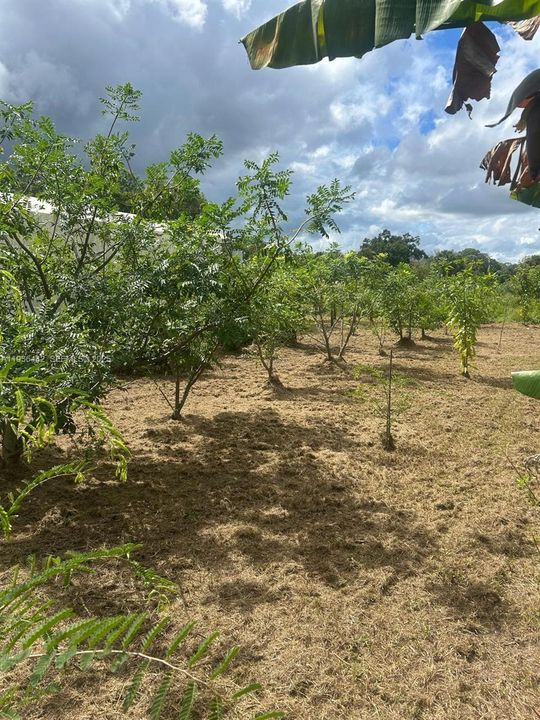 En Venta: $120,000 (1.25 acres)