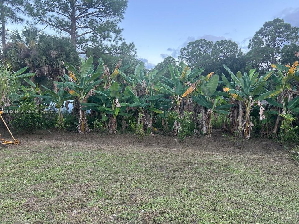 En Venta: $120,000 (1.25 acres)