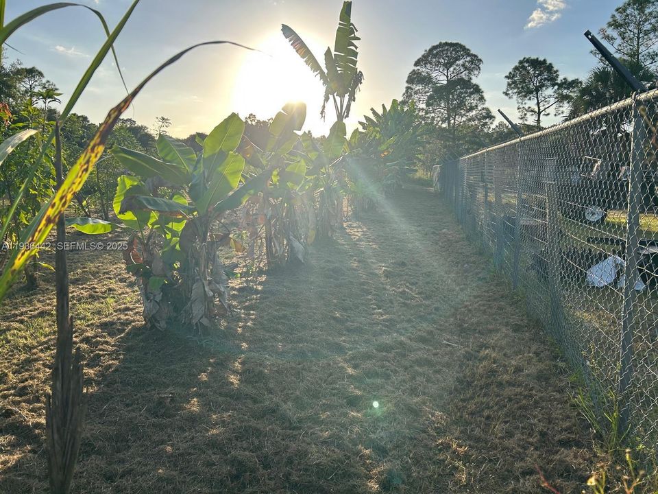 En Venta: $120,000 (1.25 acres)