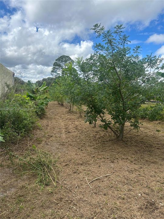 En Venta: $120,000 (1.25 acres)