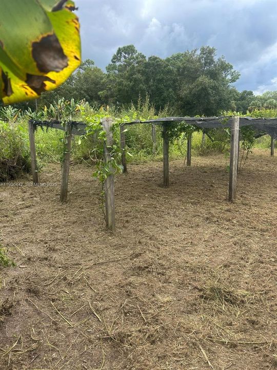 En Venta: $120,000 (1.25 acres)