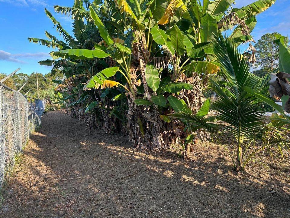 En Venta: $120,000 (1.25 acres)