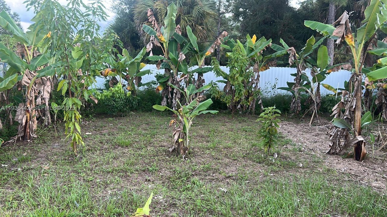 En Venta: $120,000 (1.25 acres)