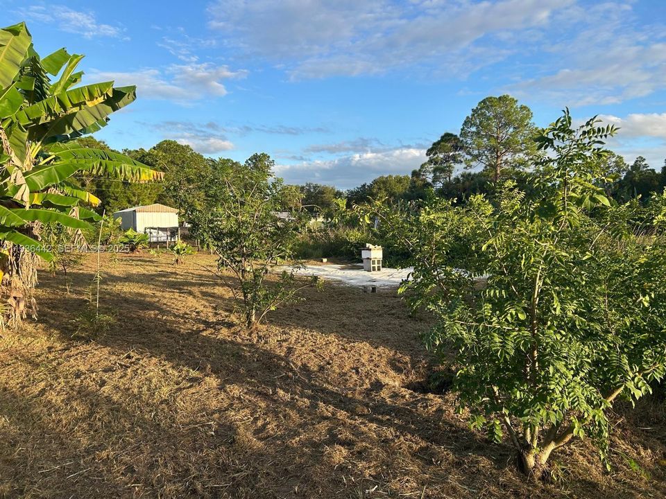 En Venta: $120,000 (1.25 acres)