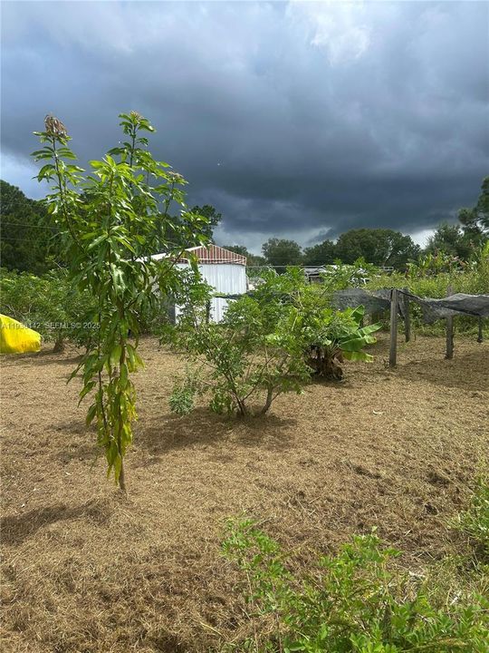 En Venta: $120,000 (1.25 acres)