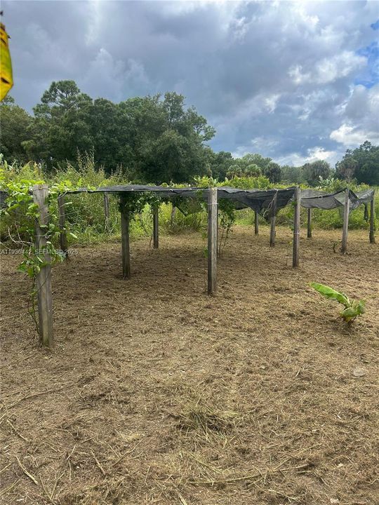 En Venta: $120,000 (1.25 acres)