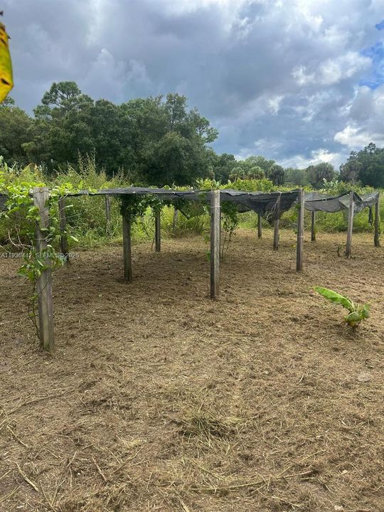 En Venta: $120,000 (1.25 acres)