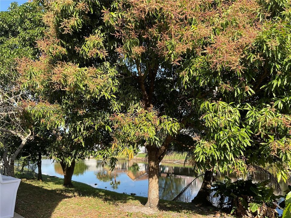 For Sale: $600,000 (3 beds, 2 baths, 2238 Square Feet)