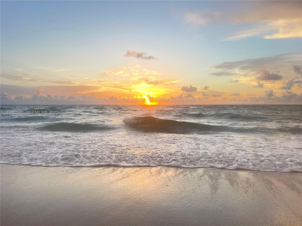 En Venta: $324,900 (1 camas, 1 baños, 800 Pies cuadrados)