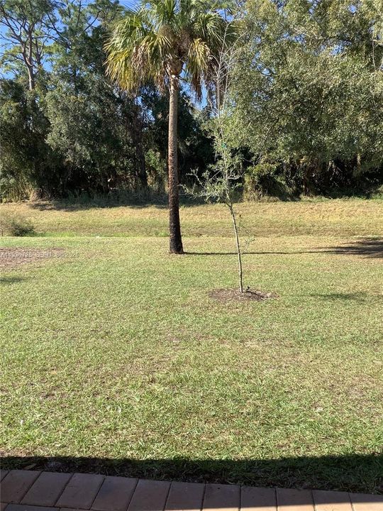 For Rent: $2,100 (3 beds, 2 baths, 0 Square Feet)