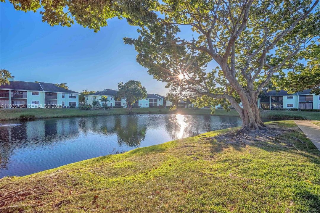 待售: $140,000 (2 贝兹, 1 浴室, 731 平方英尺)